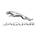 Jaguar Specialists